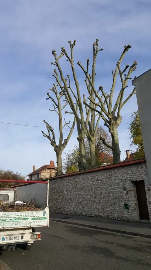 nos realisations (5)